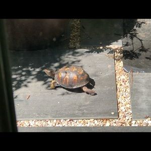 Meet your Posher, Kathy